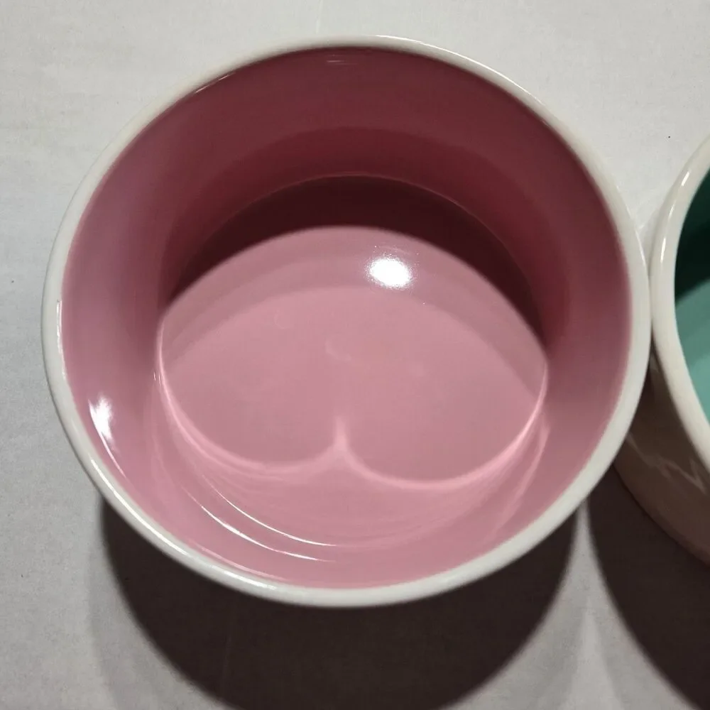 Rae Dunn Ceramic Dog Cat Bowls SAVOR & NIBBLE Pink & Blue/Teal Set Medium